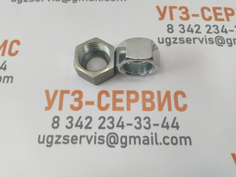 v8_00524461_14