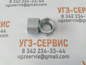 v8_00524461_2